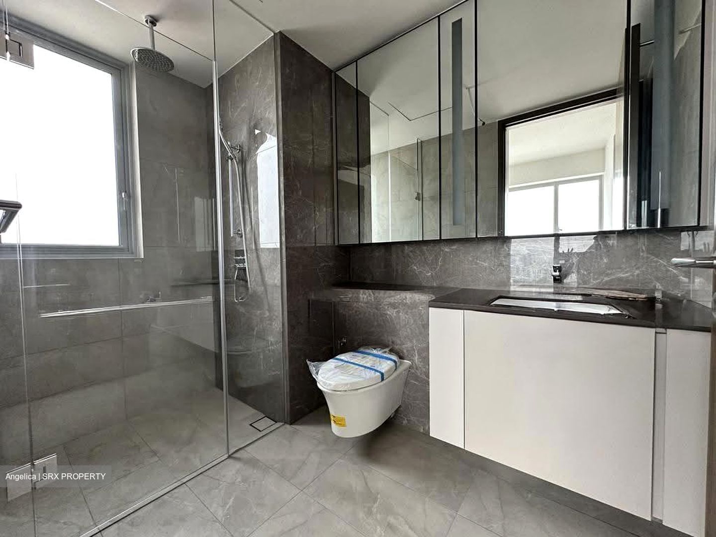 Grand Dunman (D15), Apartment #618670901